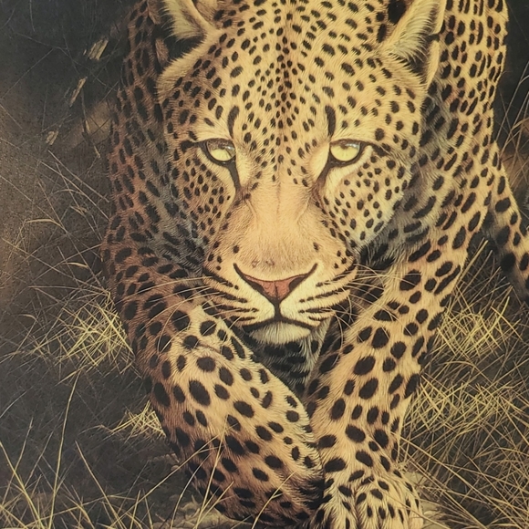ANDREW BONE, "African Mystique" seriolithograph - Picture 2 of 6